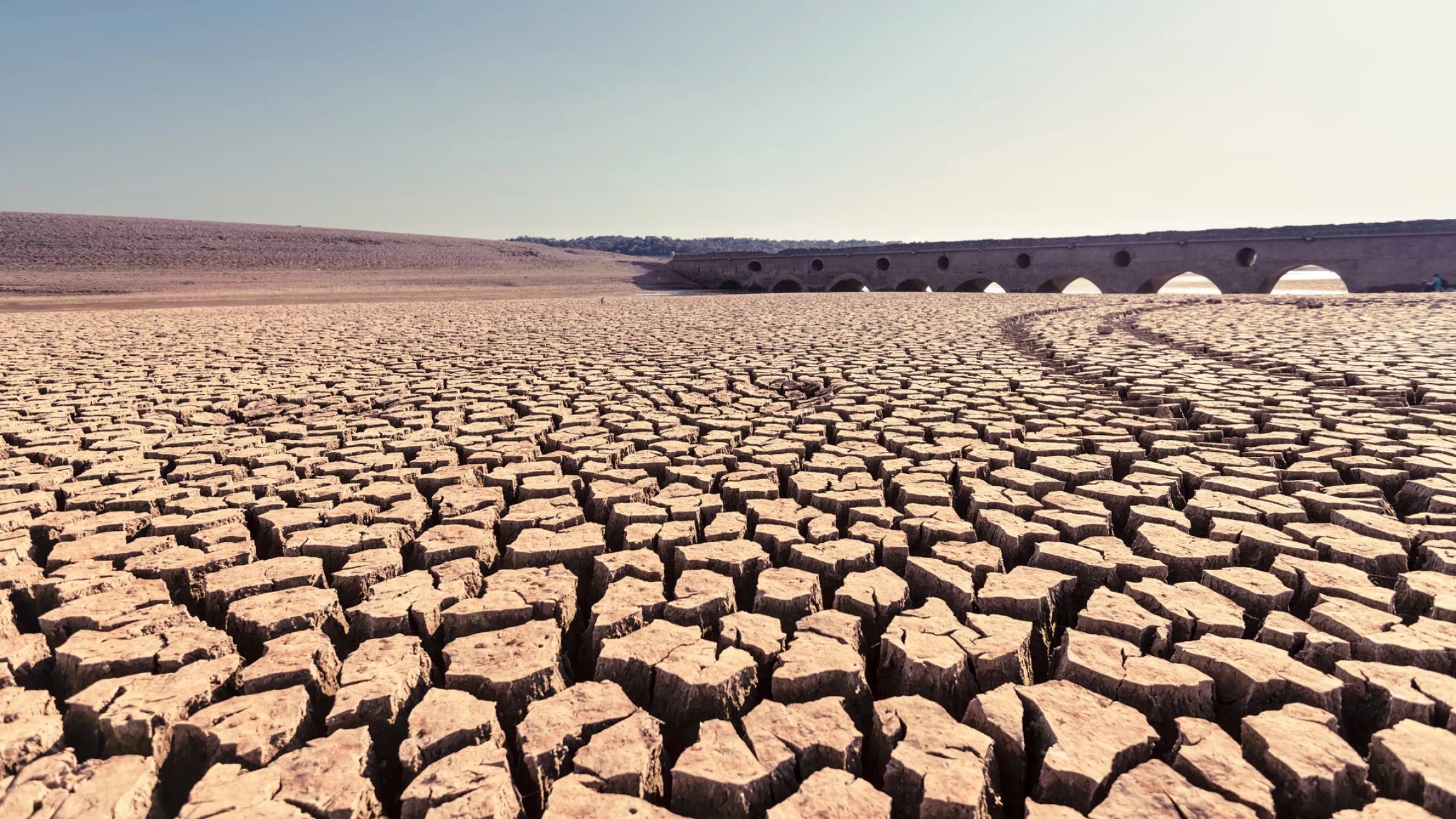 dried up soil after extraction of lithium